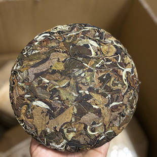 2025年班章老曼峨普洱茶农直销秋茶大树乔木白茶花香散茶饼茶