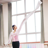 舞服装 儿童藏族舞蹈服成人惊鸿舞甩袖 古典舞演出服练习水袖 上衣女