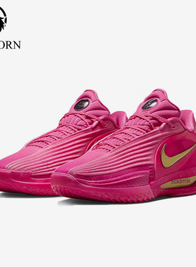 Nike/耐克正品2025夏季款男士系带减震耐磨运动篮球鞋IM9441-600