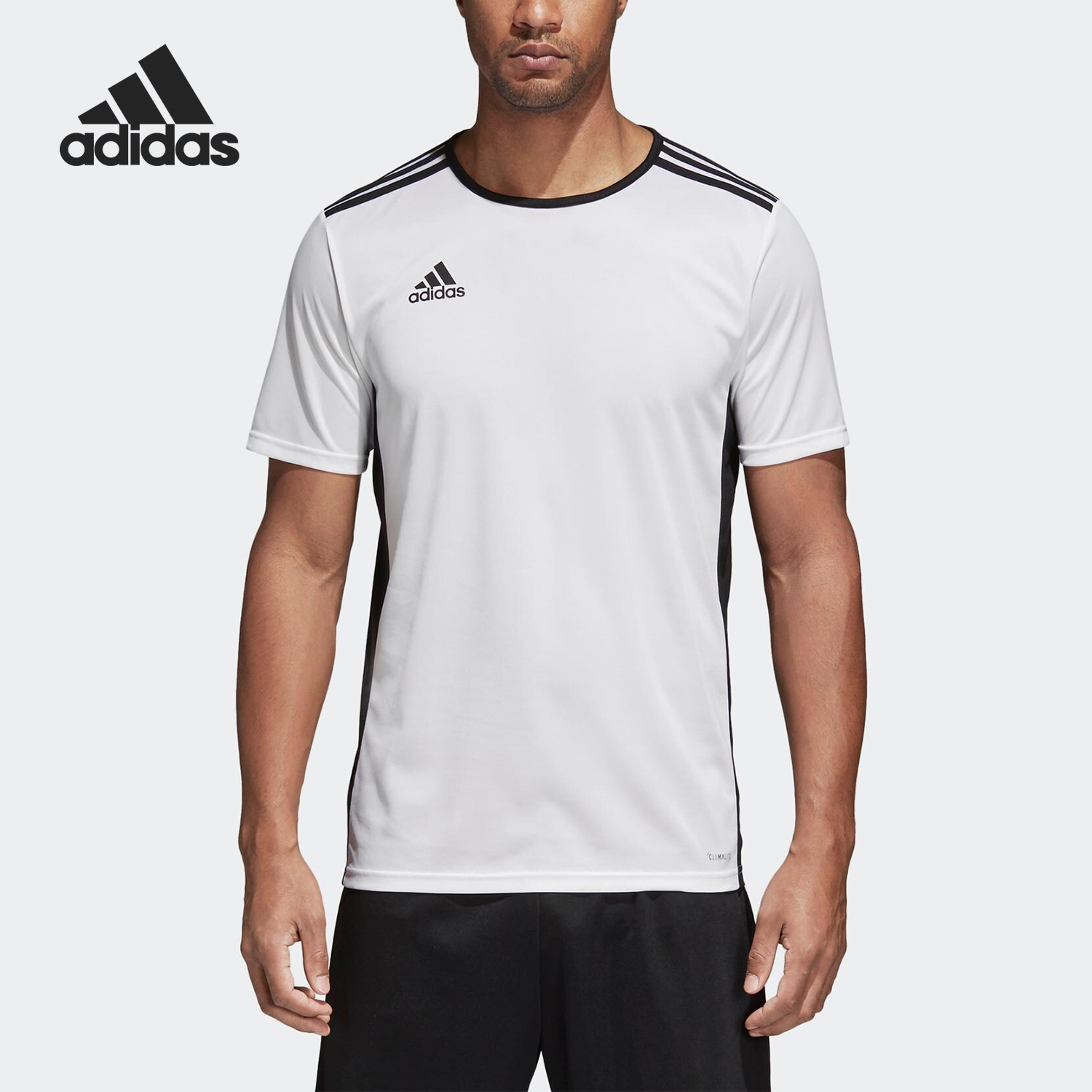 Adidas夏季男子圆领透气跑步T恤
