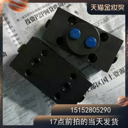 长江吊车配件  长江汽车起重机支腿液压锁SYS-B10/F42 支腿锁腿锁