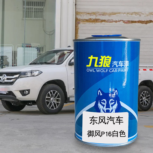 九狼汽车漆郑成品州改色车日漆产白色银能量银星空蓝帅客御风御风
