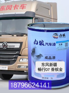 九狼东油漆东新疆风畅行香槟金西南版金风天龙香槟金启航版红珍珠