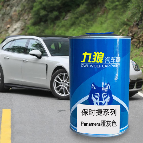 九狼汽车漆保油漆时捷成品改色漆全车烤漆哑灰色水蓝桃红木桃木红
