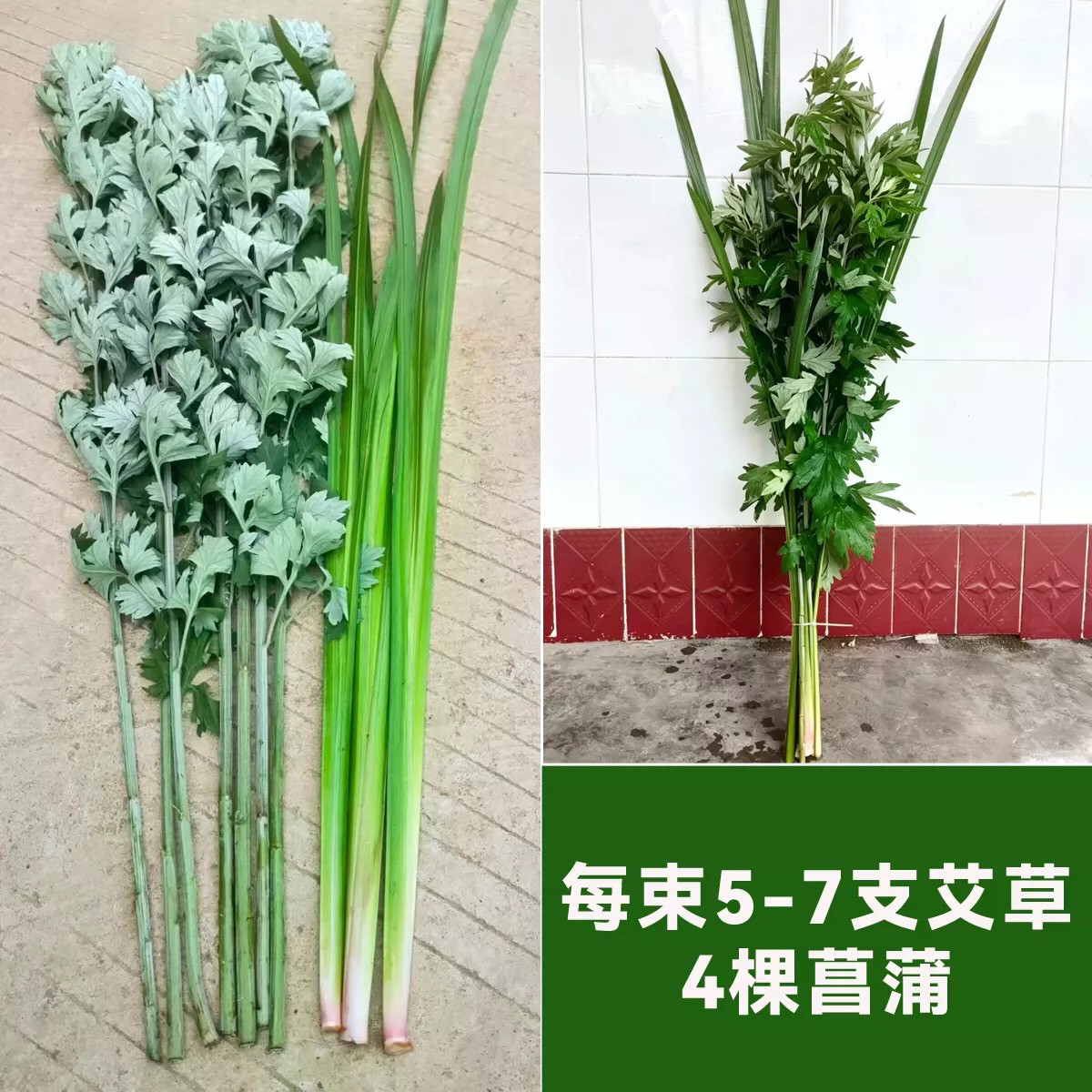 四川成都挂束艾草端午节艾叶菖蒲野生驱蚊草带枝叶挂门窗绿叶现割