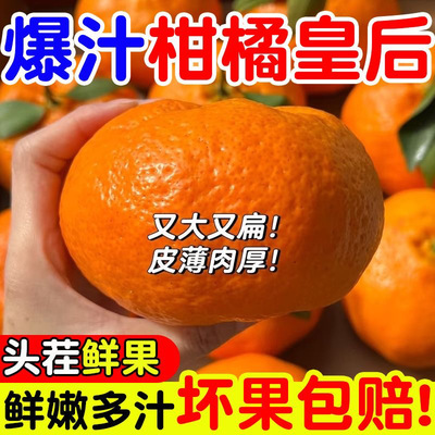 正宗四川金堂甘平桔子新鲜当季现摘现发爆汁橘子孕妇水果甜蜜蜜