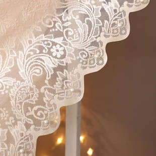 法式轻奢奶咖色蕾丝纱帘窗帘透光不透人卧室门帘高级感飘窗纱幔帘