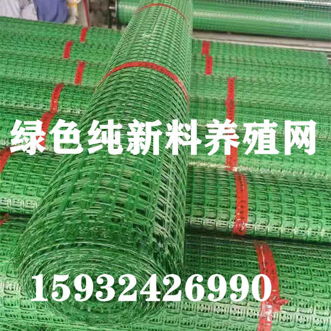 绿色养鸡塑料围栏网 安全防护网、隔离网 鸡鸭围网 漏粪网养殖网