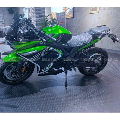 无极300R/RR加装后挡泥LX300GS-D原车挡泥板挡水板泥瓦摩托车配件