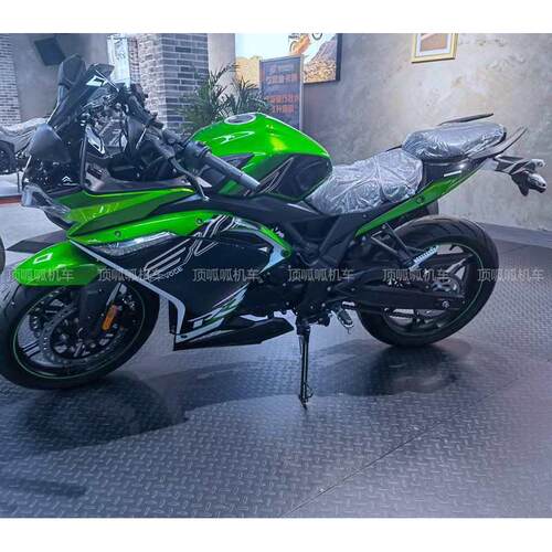 无极300R/RR加装后挡泥LX300GS-D原车挡泥板挡水板泥瓦摩托车配件