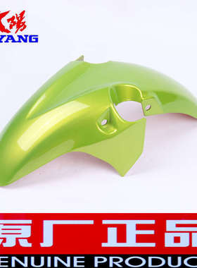 大阳摩托车配件DY150-25枭剑大运150-22劲动前泥板前挡泥板前水板