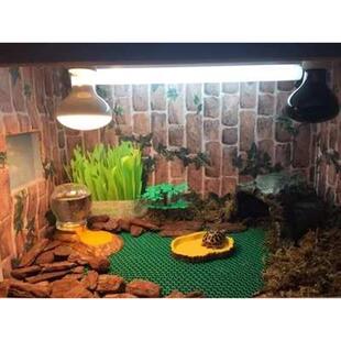 爬虫陆龟蜥蜴守宫角蛙蜘蛛龟箱仿树皮树脂鸭脚掌喂水盆食盆 包邮