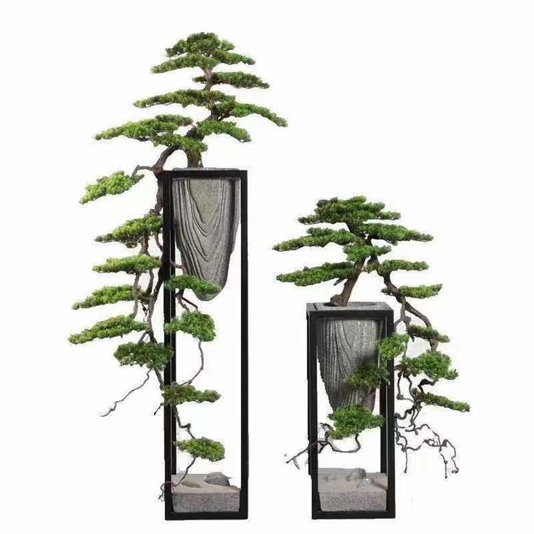 树枝装饰干枝壁挂天然多分叉龙枣树枝挂墙衣架手工原木枯树枝摆件