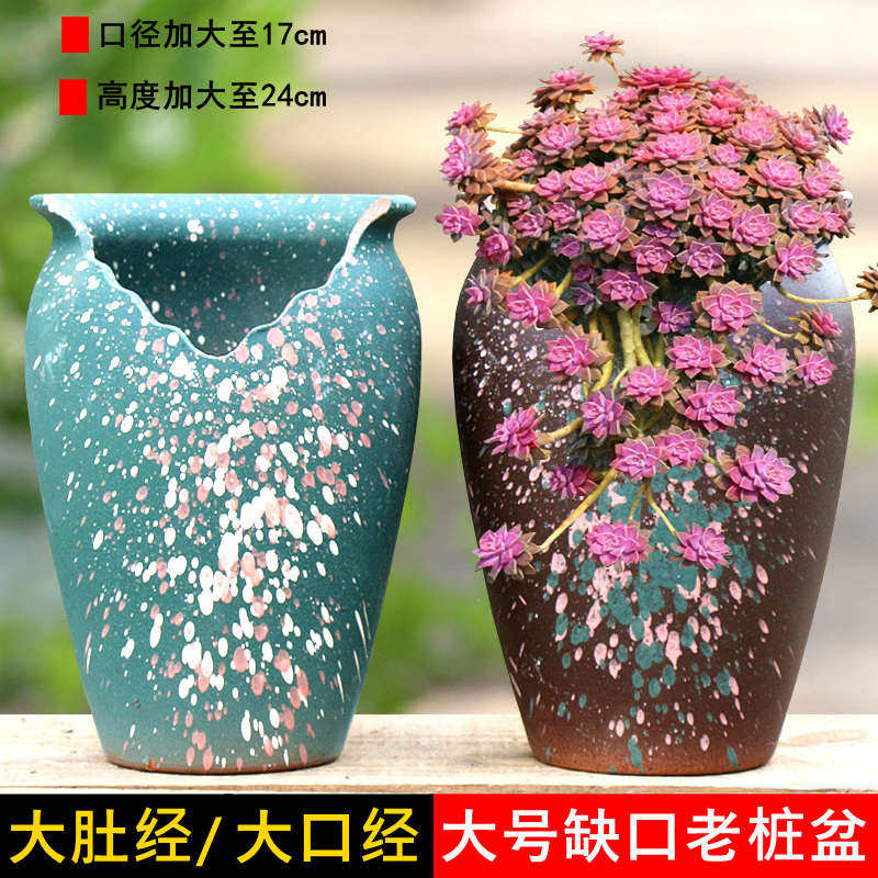 特大缺口多肉花盆高盆陶瓷多肉花盆粗陶多肉老桩花盆陶瓷植物悬崖,鲜花速递/花卉仿真/绿植园艺,花盆,淘宝优惠券,粉丝福利购,淘宝优惠卷