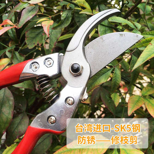 奥迈克108修枝剪粗枝剪园艺工具花剪整枝剪家用手剪修剪树枝剪刀