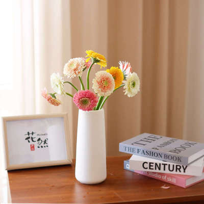 爱必达弗朗鲜花云南直发非洲菊鲜切花室内水养新鲜插花扶郎花花束