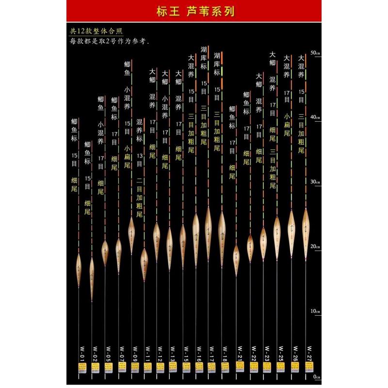 池海 黄金眼 标王浮漂 芦苇鱼漂W21-27系列 黑坑竞技野钓加长加