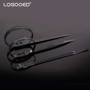 双扣扎带双头双孔强力自锁反齿黑色反扣尼龙塑料卡扣理线带束线带