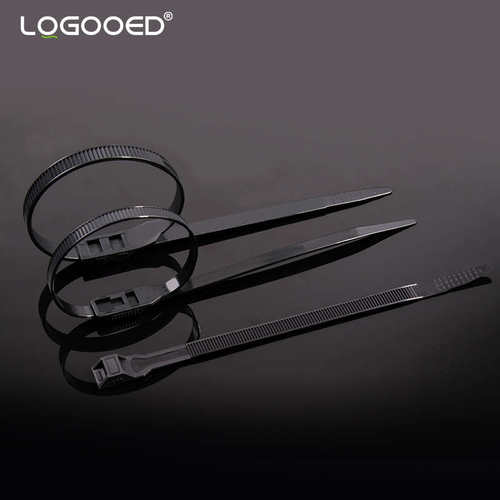 双扣扎带双头双孔强力自锁反齿黑色反扣尼龙塑料卡扣理线带束线带