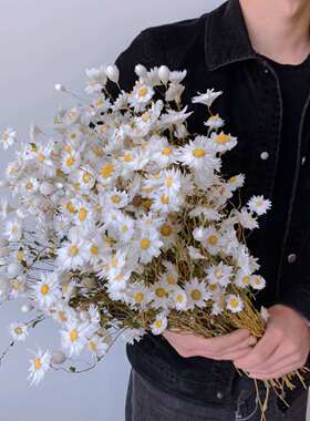 天然真花干花花束罗丹斯鲁丹鸟小雏菊小清新家居装饰摆件野餐拍摄