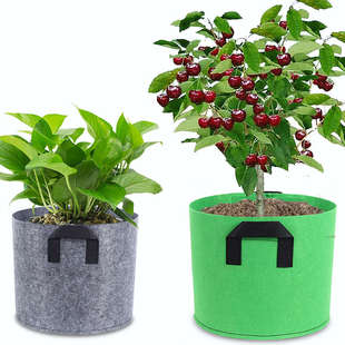 无纺布加厚阳台种植袋绿色灰色植物袋 月季花盆美植袋 特大植树袋