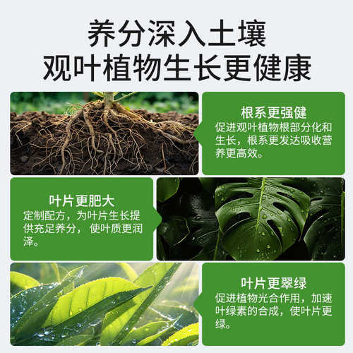施可丰绿植缓释肥颗粒多肉专用龟背竹盆栽室内观叶植物通用肥料
