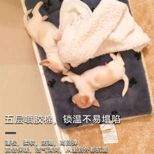 Midewst 中西 宠物猫狗垫子冬天保暖加厚大型犬老年犬