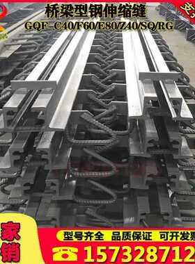 公路桥梁伸缩缝GQF-C40/D40/F60/E80/Z型伸缩装置毛勒缝梳齿板缝
