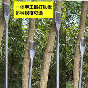 花铁锹种花栽树挖大树锻打钢锹头一体长柄铲子园艺工具高硬度扁