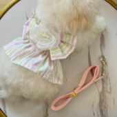 春夏狗狗胸背猫咪可牵引公主裙马尔济斯比熊泰迪牵引绳小型犬衣服