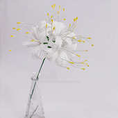 彼岸花曼珠沙华纸藤材料包 10朵 纸花 DIY手工制作纸艺 仿真花