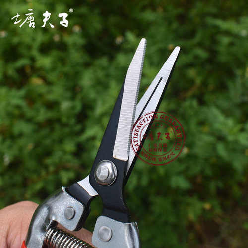 塘夫子锰钢高碳钢修枝剪刀直头摘果树枝剪花修叶锋利耐用可剪铁皮