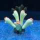 饰摆件 仿真软体硅胶花朵珊瑚水草鱼缸造景海底植物夜光装 新款 包邮