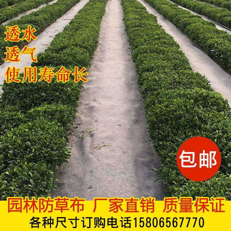 防草布除草地布园林抑草农用抗老化除草布地钉滴灌保水不长草厂