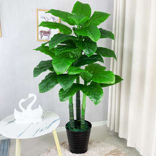 假树假花仿真花万年青室内装饰大型仿真植物盆栽客厅摆件落地绿植