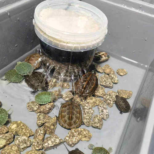 康卿龟用过滤器低水位过滤盒小号白色小鱼缸净化器潜水生化过滤泵
