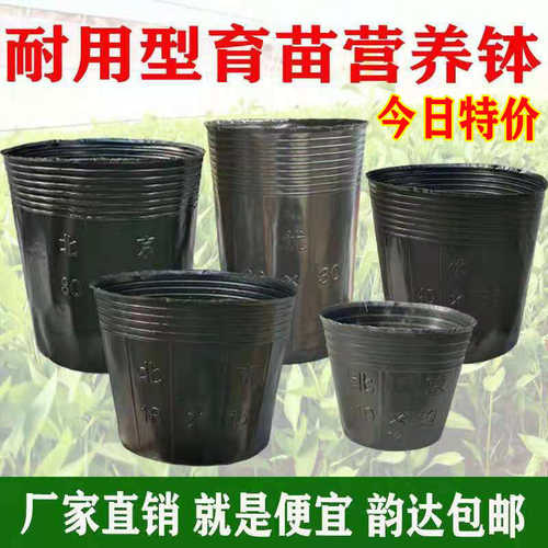 优先营养鉢黑色塑料育苗杯育苗袋育苗盆一次性花盆加厚8*8营养杯
