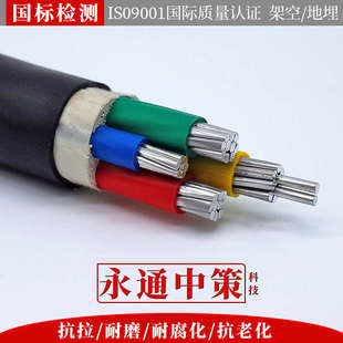 永通中策铝线电线户外线2 3 4 5芯电缆线10 16 25 35铝芯地埋电缆