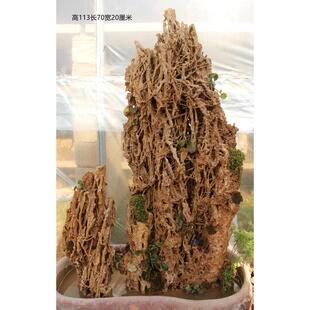 大型吸水石原石真石头上水石盆景庭院假山流水摆件花园绿植造景石