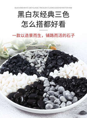 枯山水石子白色黑色灰色洗米石铺路工程庭院装饰造景水磨石小石子