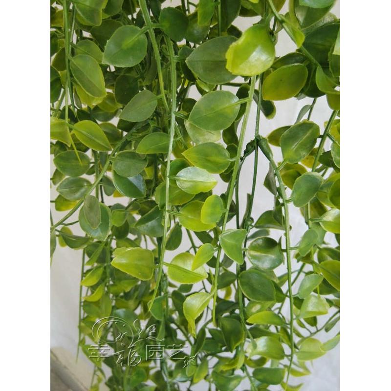 吊兰花仿真花塑料仿真藤盆假装饰吊栽植 加密藤条管道兰花壁挂