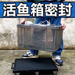 轿车野钓活鱼桶加厚大容量收纳箱养鱼运输箱密封防漏水拉鱼装鱼箱