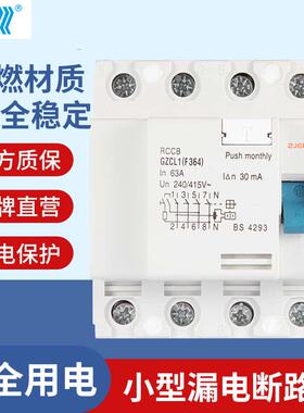 正珠DZ30LE-32家用小型漏电保护器断路器DPN空气开关双进双出双线