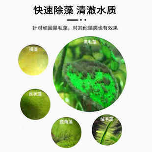 鱼缸除藻去苔剂鱼缸壁专用绿藻清除神器去青苔丝褐黑毛水藻素克星