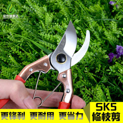 金农园艺剪刀苗木修枝剪刀树枝剪刀果枝剪园林剪刀园丁剪修花剪刀