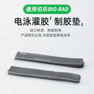 电泳仪匹配电泳灌胶用密封条制胶封条制胶架制胶垫 rad 伯乐bio