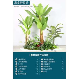 植物造景盆栽下造景樓梯假樹轉角室內綠植景觀仿真樹空間 仿真裝