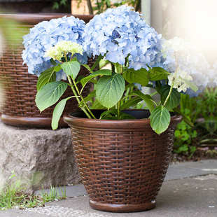 虹越华锦自产仿藤编花盆12/16寸塑料花盆庭院装饰花卉植物大花盆