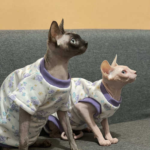 无毛猫衣服秋冬纯棉内里薄绒可爱婴儿布料加绒德文斯芬克斯猫衣服