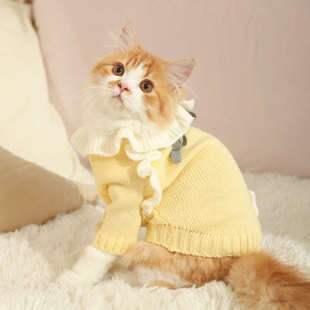 猫猫毛猫咪 幼偶秋天小猫防秋冬毛衣布衣服秋猫猫宠物保暖掉秋季